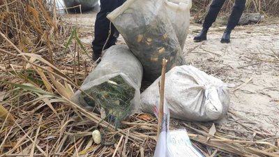 На Черкащині чоловіки незаконно наловили риби на понад 150 тисяч гривень На Черкащині чоловіки незаконно наловили риби на понад 150 тисяч гривень