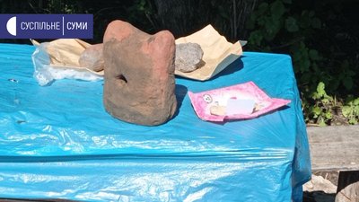 На Сумщині продовжують археологічні розкопки Ширяївського городища: що знайшли На Сумщині продовжують археологічні розкопки Ширяївського городища: що знайшли