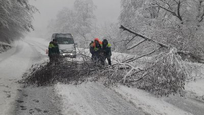 На Торунському перевалі дерева впали на проїжджу частину На Торунському перевалі дерева впали на проїжджу частину