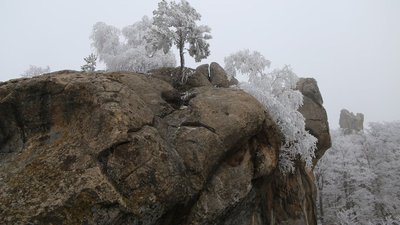 Добре, що я не браконьєр. Автор фото рисей розповів про своє хобі Добре, що я не браконьєр. Автор фото рисей розповів про своє хобі