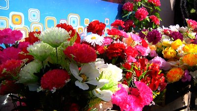 У Житомирі торгівля штучними квітами під забороною – продають живі