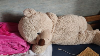 У селі поблизу Житомира родина священника на власному обійсті прихистила три сім'ї переселенців У селі поблизу Житомира родина священника на власному обійсті прихистила три сім'ї переселенців