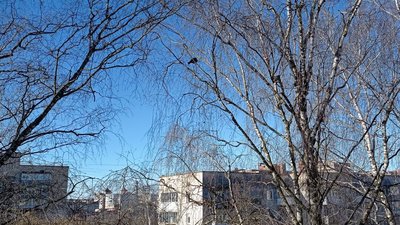 На Тернопільщині синоптики прогнозують похолодання та пориви вітру