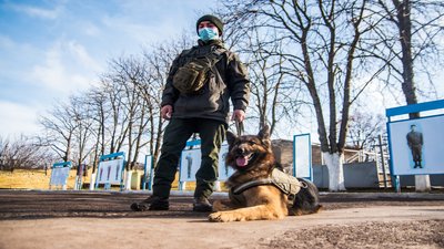 У військовій частині 3039, що дислокується в Миколаєві, служать 13 собак
