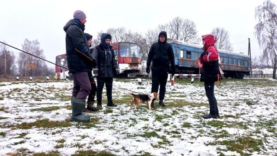 Міжнародні інструктори тренують собак у Роменському районі на Сумщині