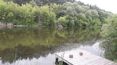 Тут закінчується траса: як живуть у селі Новодмитрівка на Сумщині неподалік кордону Тут закінчується траса: як живуть у селі Новодмитрівка на Сумщині неподалік кордону