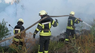 На Одещині горіло понад 4 гектари сухої трави