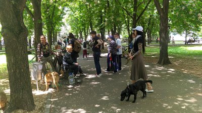 Щастя не має породи. У Миколаєві майже два десятки безпородних собак знайшли нових хазяїв