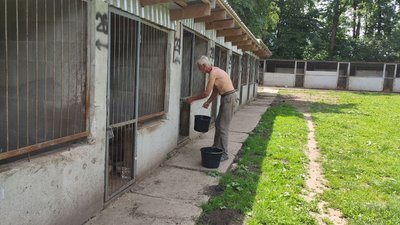 На Тернопільщину евакуювали собак з підтоплених районів Херсонщини На Тернопільщину евакуювали собак з підтоплених районів Херсонщини