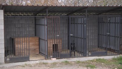 У Житомирі облаштували п'ять нових вольєрів для собак, яких забрали з вулиці У Житомирі облаштували п'ять нових вольєрів для собак, яких забрали з вулиці