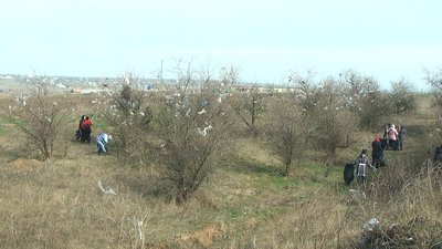 У Миколаєві розпочали прибирати рознесене штормовим вітром сміття