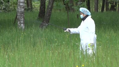 Тернопільські парки кроплять від кліщів Тернопільські парки кроплять від кліщів