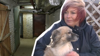 Укриття на Львівщині. Чи можна там бути з домашніми улюбленцями