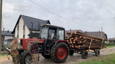 Незаконна порубка на Рівненщині