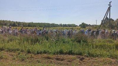 хресна хода, прочани
