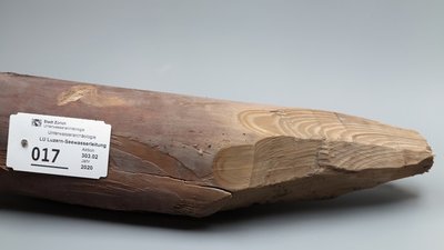 На дні Фірвальдштетського озера знайшли деревину бронзової доби На дні Фірвальдштетського озера знайшли деревину бронзової доби