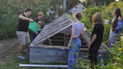 "В майбутньому вони можуть ці знання використати": у Рівному запрацював гурток для дітей "Равликова ферма" "В майбутньому вони можуть ці знання використати": у Рівному запрацював гурток для дітей "Равликова ферма"