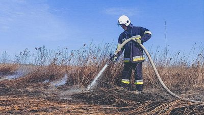 Рятувальник гасить пожежу на торф'яному полі