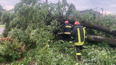 Рятувальники розрізають дерева Рятувальники розрізають дерева