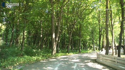 Зі старовинного парку, що був розбитий біля маєтку князя Яблонського, в громаді мріють зробити другу "Софіївку". Фото: Суспільне. Зі старовинного парку, що був розбитий біля маєтку князя Яблонського, в громаді мріють зробити другу "Софіївку". Фото: Суспільне.