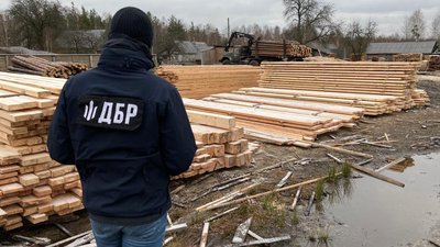 Лісівників з Рівненщини викрили на незаконній порубці сосен – ДБР Лісівників з Рівненщини викрили на незаконній порубці сосен – ДБР