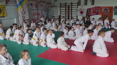 У Житомирі відбувся фестиваль бойових мистецтв "Шлях воїна" – наймолодшим учасникам 4 роки У Житомирі відбувся фестиваль бойових мистецтв "Шлях воїна" – наймолодшим учасникам 4 роки