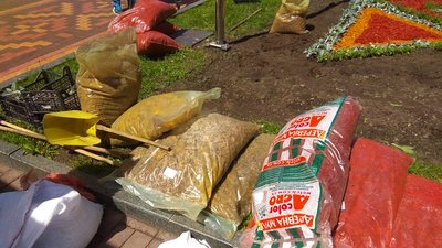 Квітник-вишиванку створюють у Сумах