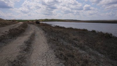 Через підняття води в Інгульці постраждав ботанічний заказник "Івано-Кепине", що на Миколаївщині