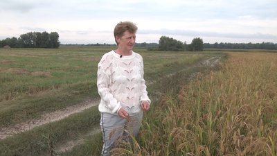 Не дають документи: на Чернігівщині жінка не може оформити майже 2 га землі