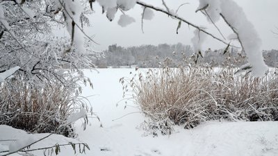 На півдні Харківської області 9 лютого очікується значний сніг