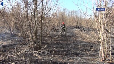 Відсьогодні палити сухе листя й траву стало дорожче