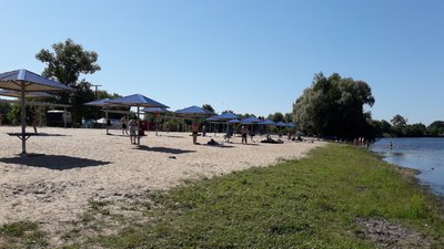 У річці біля двох пляжів Полтави виявили підвищений рівень кишкової палички: де саме