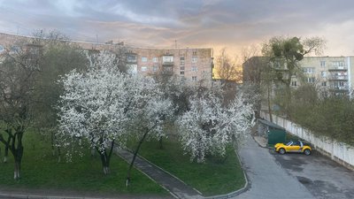 Вулиця Героїв-Чорнобильців у Рівному