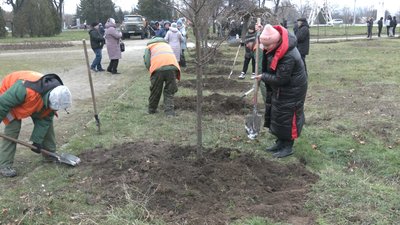 "Розшукати тих, хто зник безвісти": у Запоріжжі висадили алею, присвячену захисникам Маріуполя "Розшукати тих, хто зник безвісти": у Запоріжжі висадили алею, присвячену захисникам Маріуполя