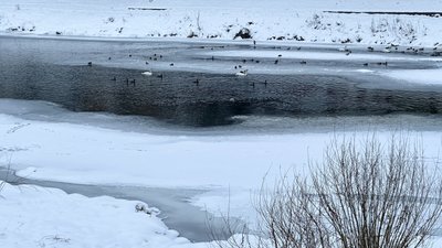 Морози та ожеледиця на дорогах: якою буде погода на Закарпатті в перші дні лютого