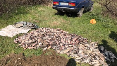 На Одещині затримали браконьєрів, які виловили понад 200 кг риби – ДПСУ На Одещині затримали браконьєрів, які виловили понад 200 кг риби – ДПСУ