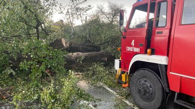 Пошкоджені дахи та повалені дерева: наслідки негоди на Івано-Франківщині