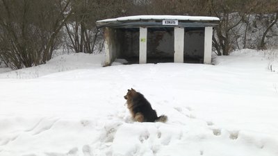 5 місяців без автобуса: як живуть жителі Новогород-Сіверщини 5 місяців без автобуса: як живуть жителі Новогород-Сіверщини