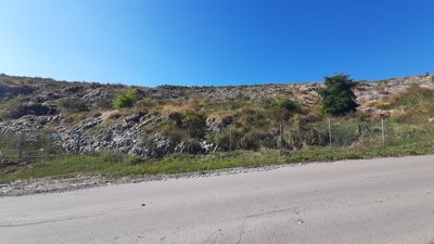 Біля Грибовицького сміттєзвалища від початку року взяли понад 210 проб для анлізу ґрунту Біля Грибовицького сміттєзвалища від початку року взяли понад 210 проб для анлізу ґрунту