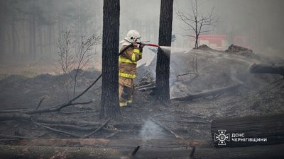 Лісова пожежа на Чернігівщині з чагарників поширилася на ліс та охопила площу в 100 га