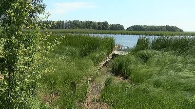 "Не дозволяє купатись та рибалити". На Сумщині селяни конфліктують з орендарем ставка