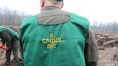 "Створюємо ліси разом": у Білокоровицькому лісгоспі на Житомирщині висадили понад два гектари лісу