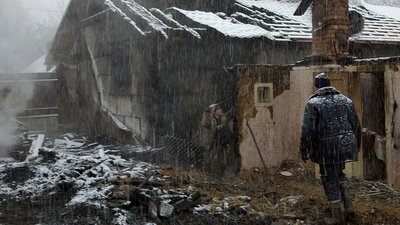 Дві будівлі та худоба: на Закарпатті пожежа знищила частину господарства