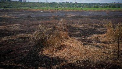 Понад тиждень триває гасіння пожежі на полях зрошення біля Одеси Понад тиждень триває гасіння пожежі на полях зрошення біля Одеси