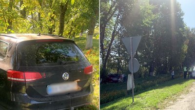 Водій автомобіля в'їхав у дерево