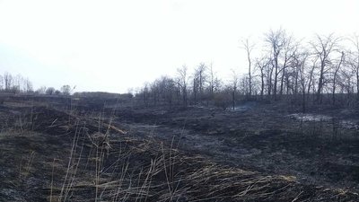 Рятувальники гасять пожежі на відкритих територіях Рятувальники гасять пожежі на відкритих територіях
