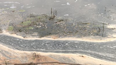 Забруднена річка Убідь на Чернігівщині Забруднена річка Убідь на Чернігівщині