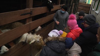 Житомирський виш організовує безкоштовні екскурсії на власну мультиферму Житомирський виш організовує безкоштовні екскурсії на власну мультиферму