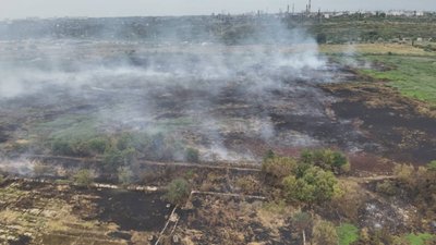Тління рослинності на полях зрошення на Одещині