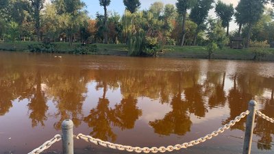 У Кривому Розі екологи взяли проби води з річки Інгулець У Кривому Розі екологи взяли проби води з річки Інгулець